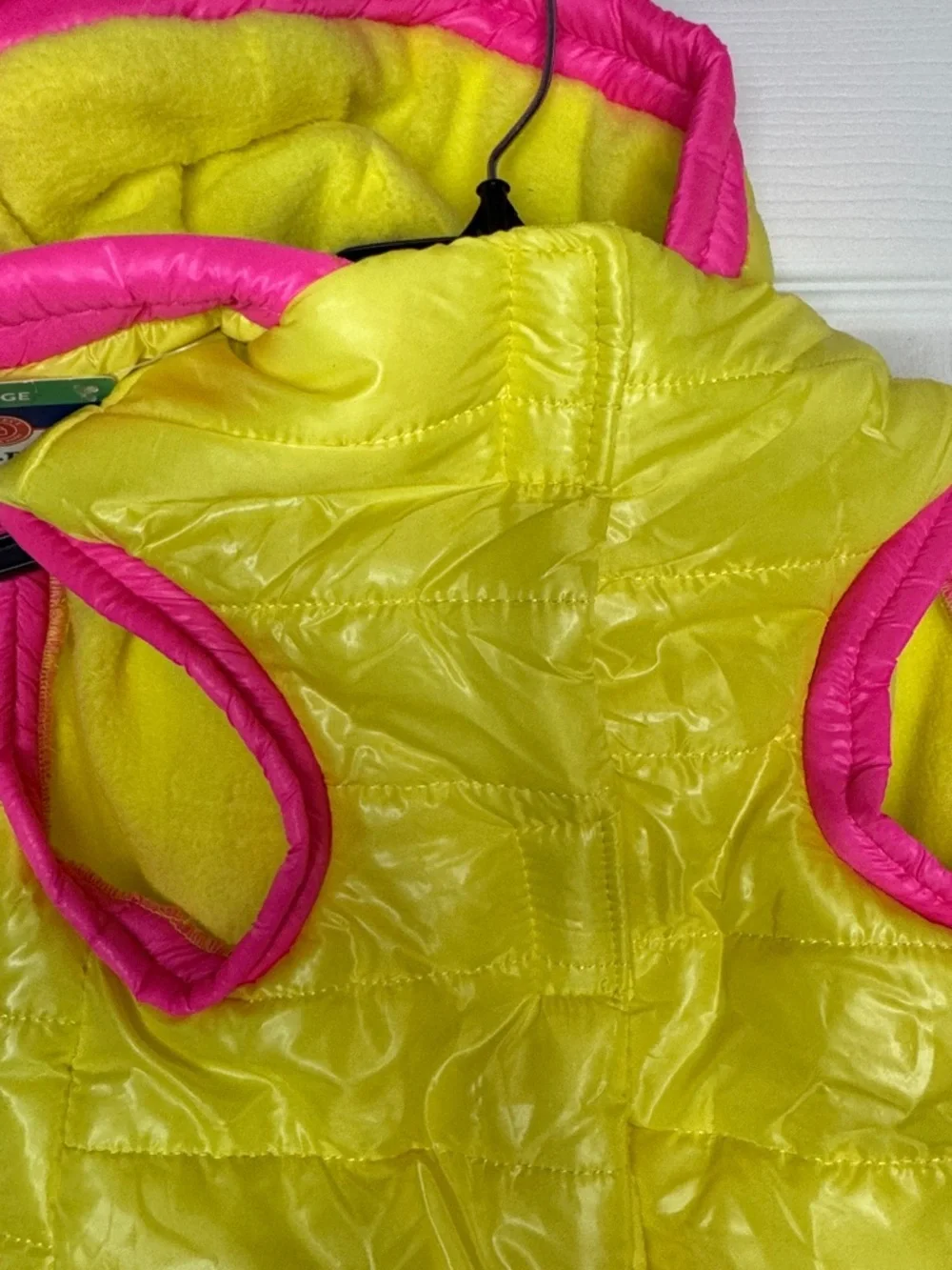 Top Paw bright neon